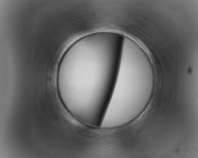 X0000102221246200807250738