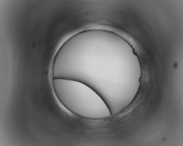 X0000102221247200807250738