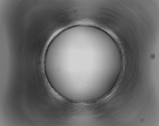 X0000102221248200807250738