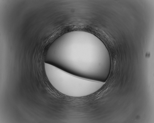 X0000102221250200807250738