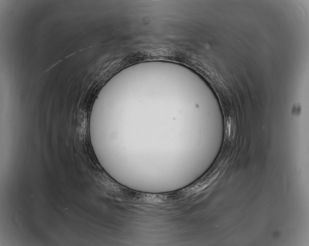 X0000102221251200807250738