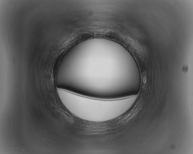 X0000102221252200807250738