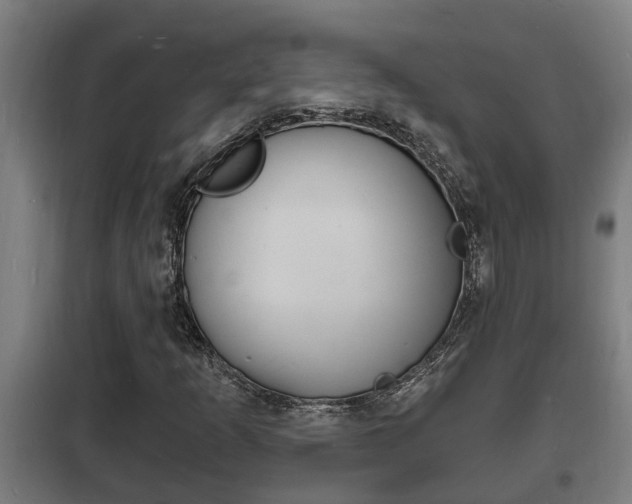 X0000102221253200807250738