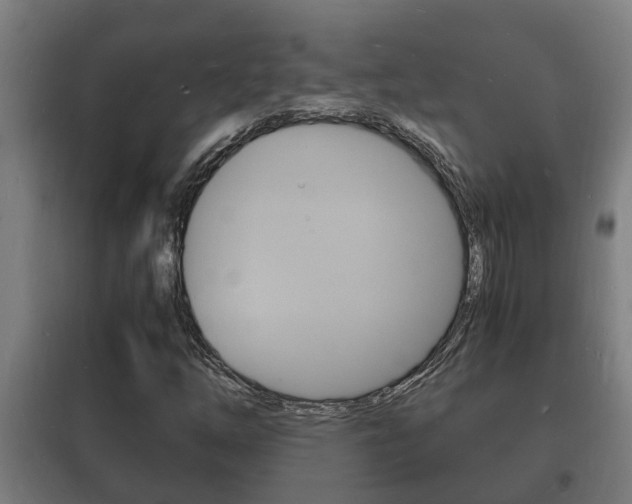 X0000102221254200807250738