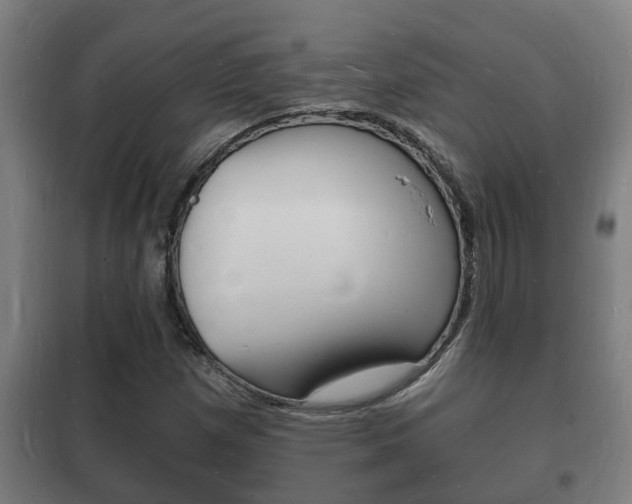 X0000102221257200807250738
