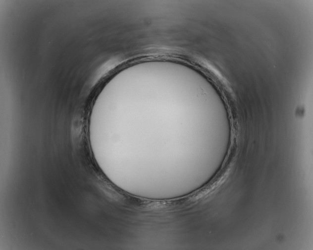 X0000102221259200807250738