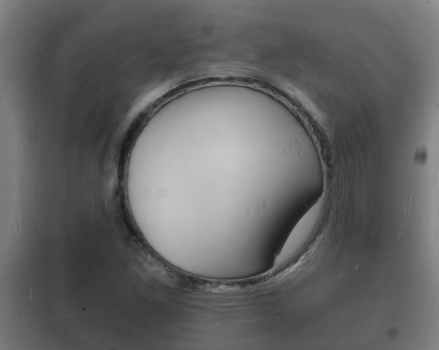 X0000102221261200807250738