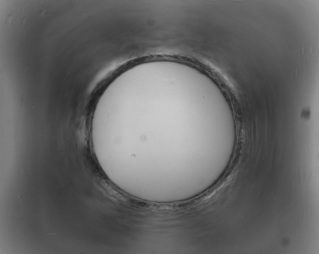 X0000102221262200807250738