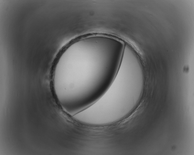 X0000102221264200807250738