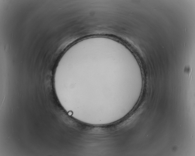 X0000102221265200807250738