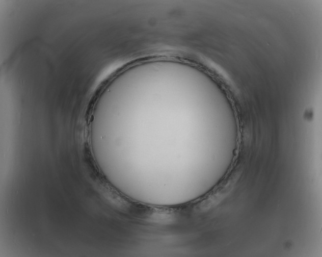 X0000102221267200807250738