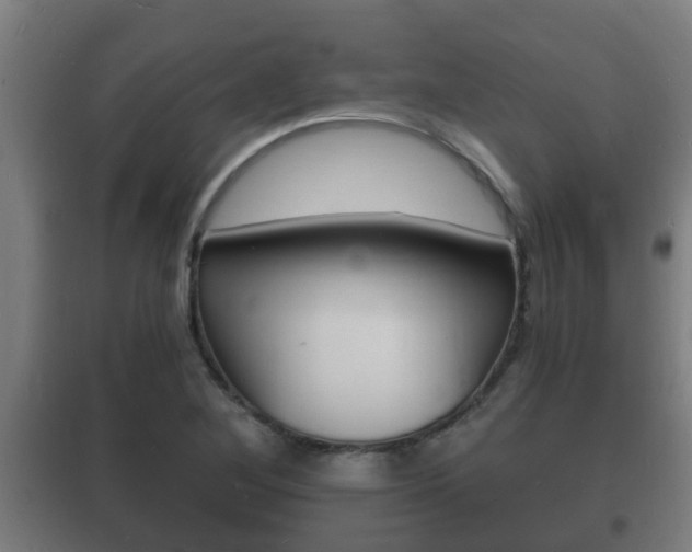 X0000102221268200807250738