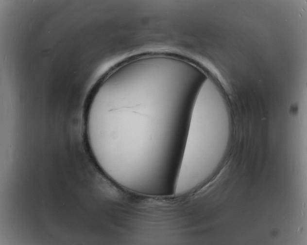 X0000102221270200807250737