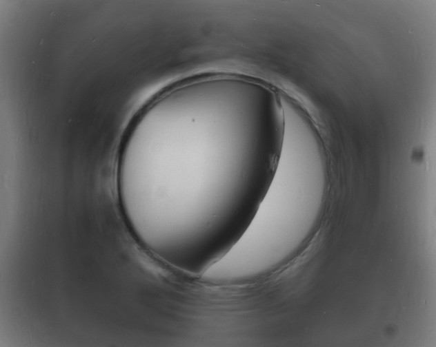 X0000102221272200807250737