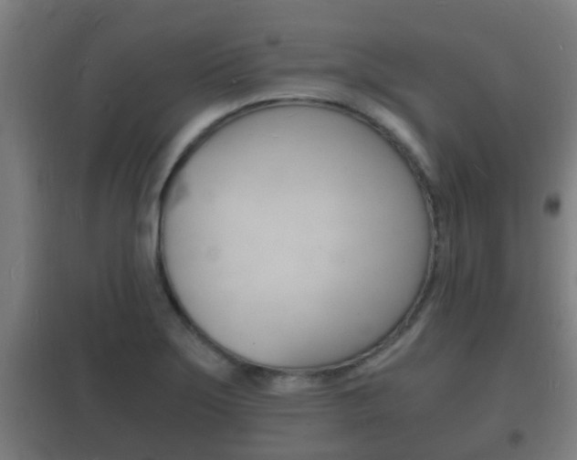 X0000102221275200807250737
