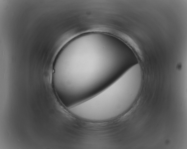 X0000102221276200807250737