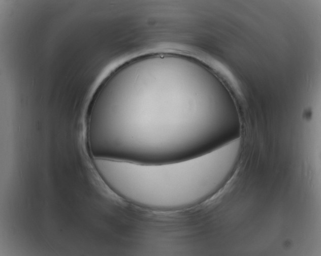 X0000102221280200807250737