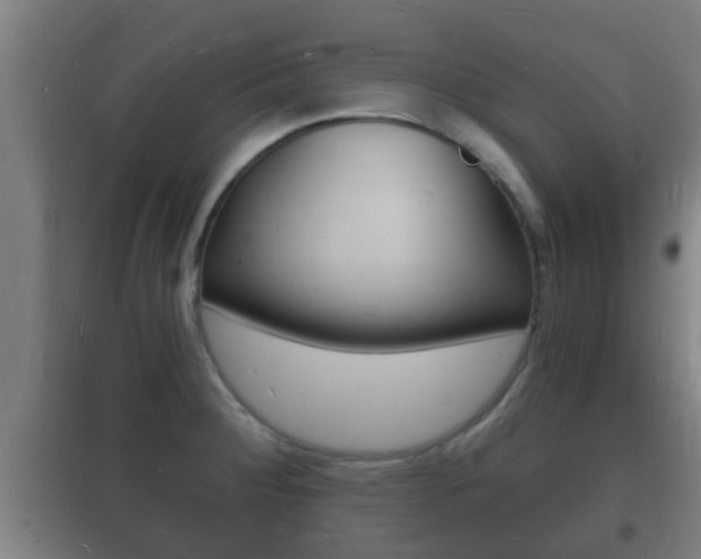 X0000102221284200807250737