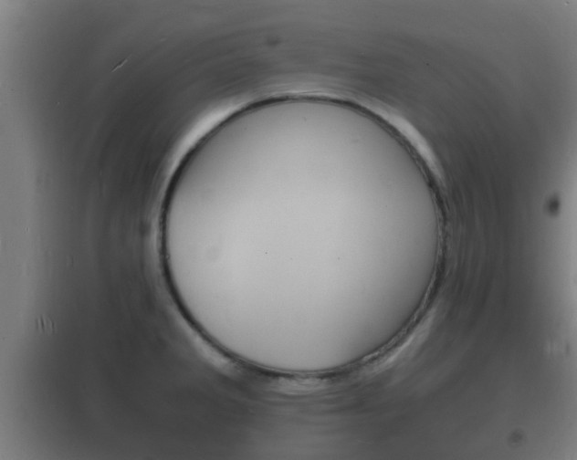 X0000102221285200807250737