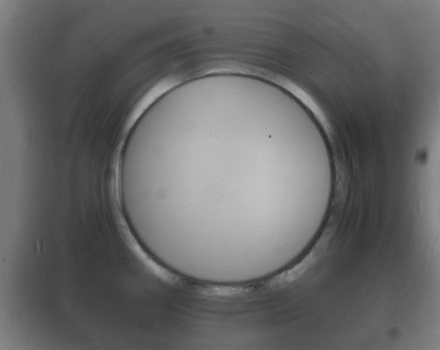 X0000102221290200807250737