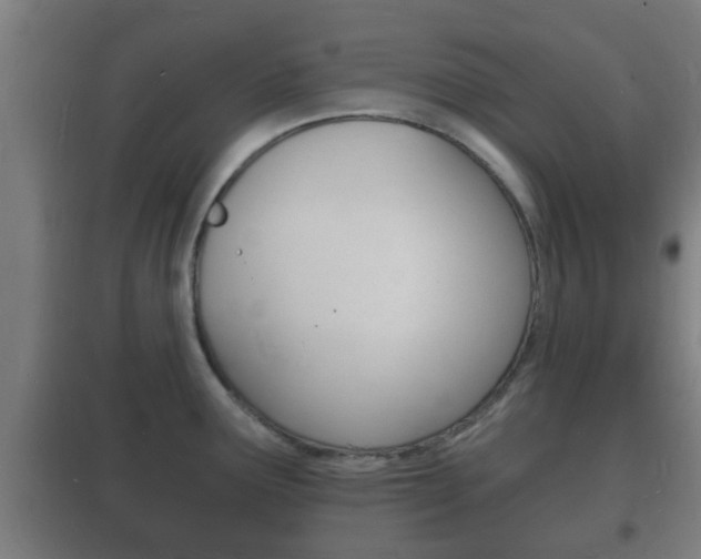 X0000102221291200807250737