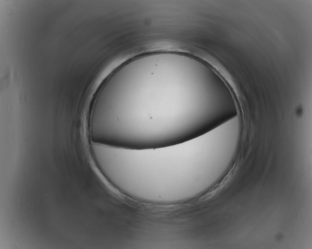 X0000102221293200807250737