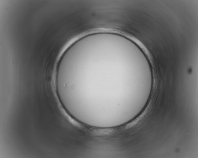 X0000102221294200807250737