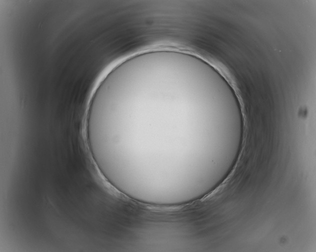 X0000102221296200807250737