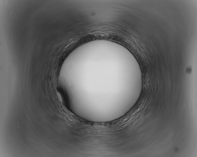 X0000102221297200807250736