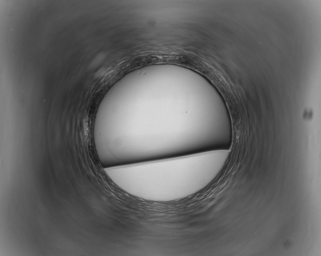 X0000102221298200807250736