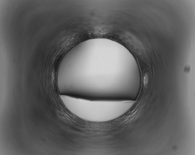 X0000102221299200807250736