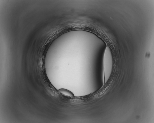 X0000102221300200807250736