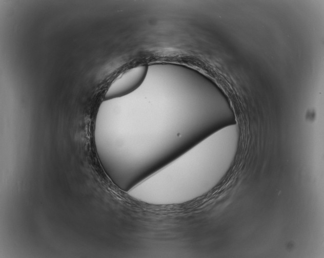 X0000102221301200807250736