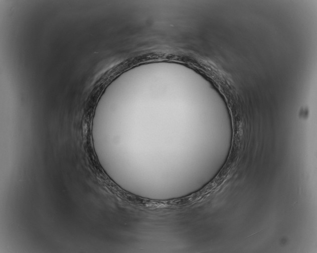 X0000102221302200807250736