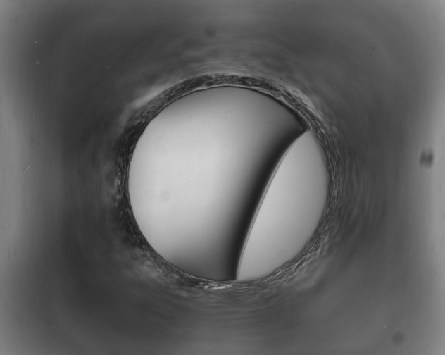 X0000102221303200807250736