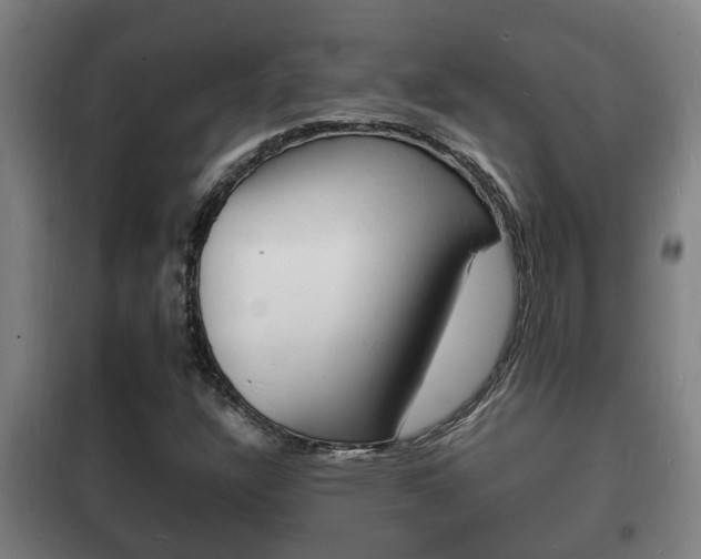 X0000102221304200807250736