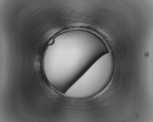 X0000102221305200807250736