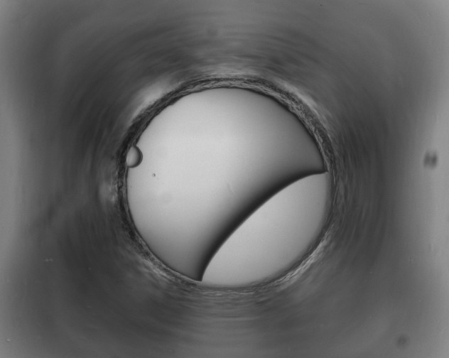 X0000102221306200807250736