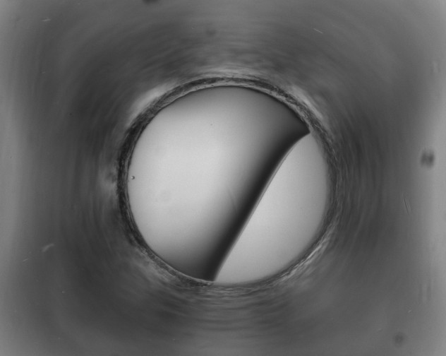 X0000102221307200807250736