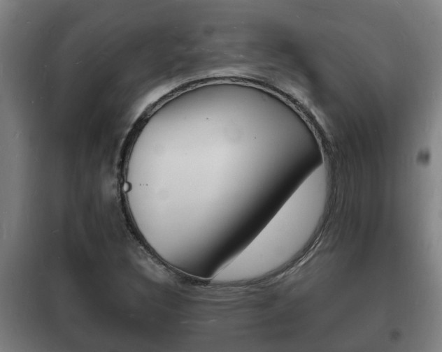 X0000102221308200807250736