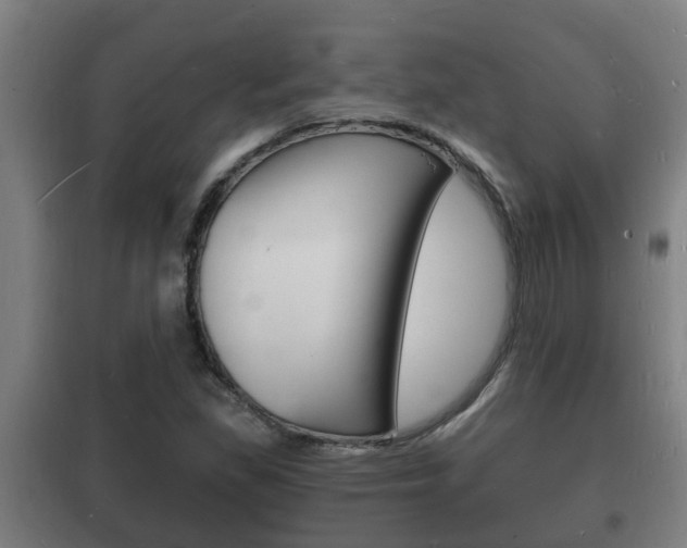 X0000102221309200807250736