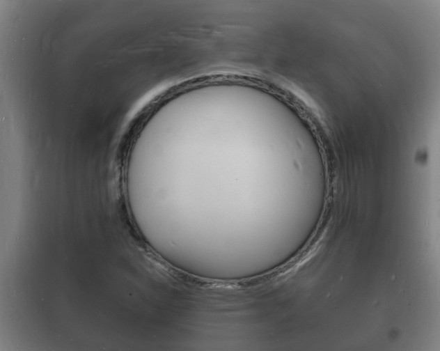 X0000102221310200807250736