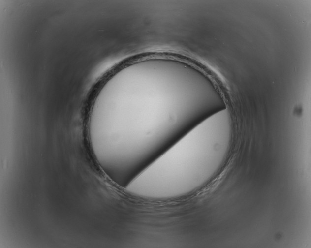 X0000102221311200807250736