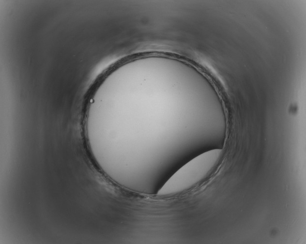 X0000102221312200807250736