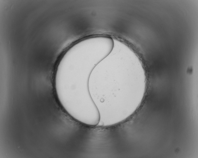 X0000102221314200807250737