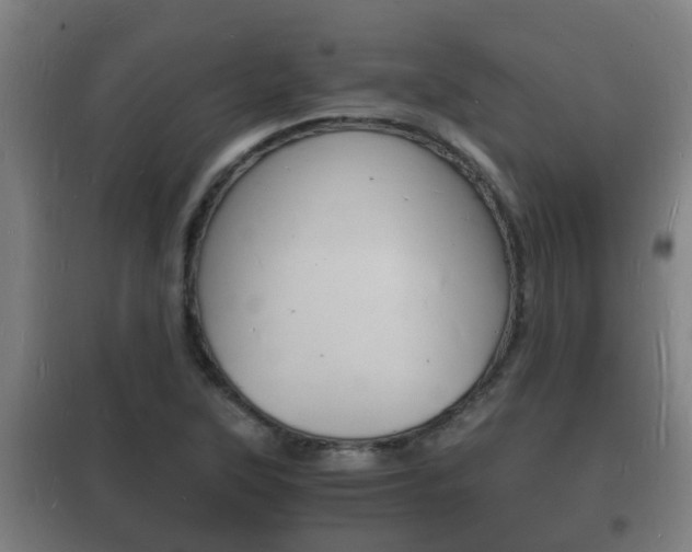 X0000102221315200807250737