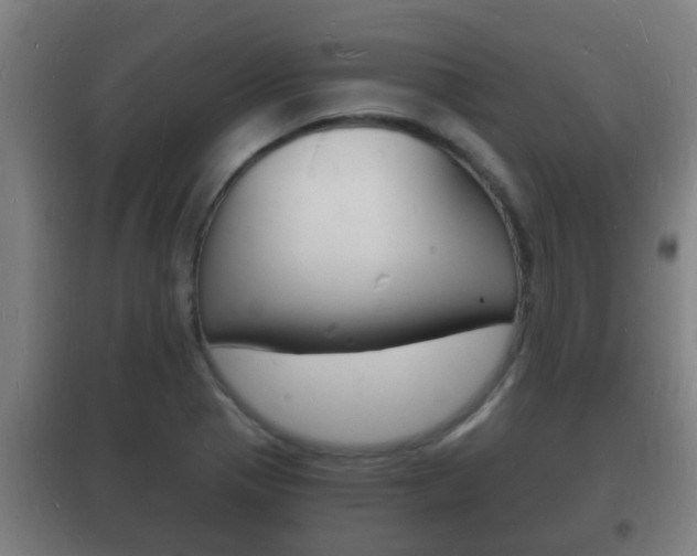 X0000102221321200807250737