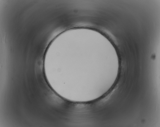 X0000102221322200807250737