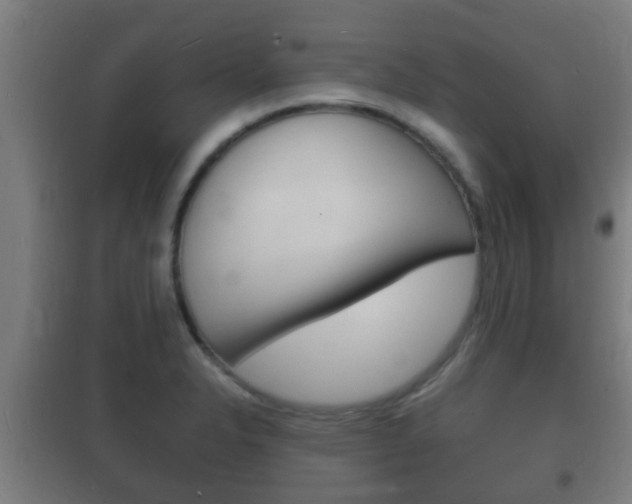 X0000102221326200807250737