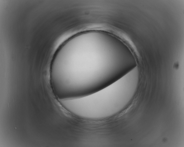 X0000102221328200807250737